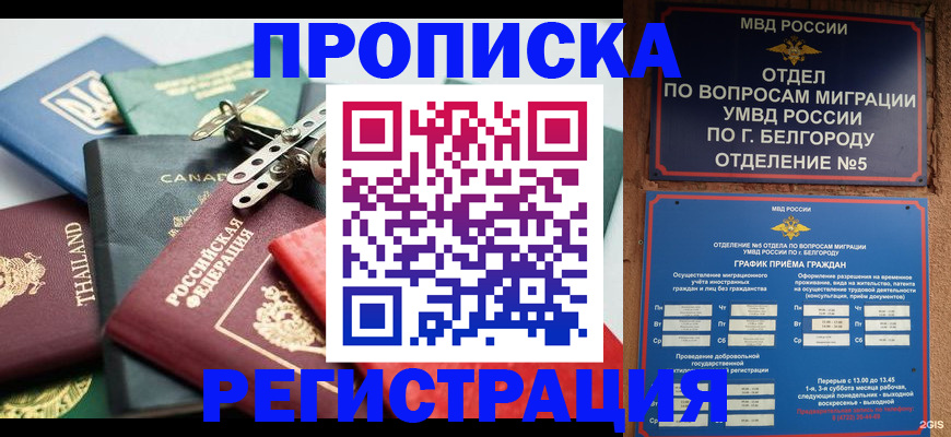 временная регистрация недорого в Козьмодемьянске